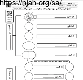 ورقة عمل مراحل الانقسام المنصف مع الحل مقرر أحياء 3 أ. فيصل الجمعان