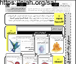 ورقة عمل مستوى بناء الجسم في الحيوانات مع الحل مقرر أحياء 1 أ. فيصل الجمعان