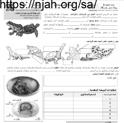 ورقة عمل مقدمة في الزواحف مع الحل مقرر أحياء 2 أ. فيصل الجمعان