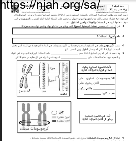 ورقة عمل مقدمة في المورثات مع الحل مقرر أحياء 3 أ. فيصل الجمعان