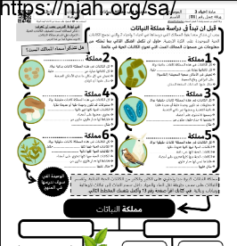 ورقة عمل مقدمة في مملكة النباتات مع الحل مقرر أحياء 3 أ. فيصل الجمعان